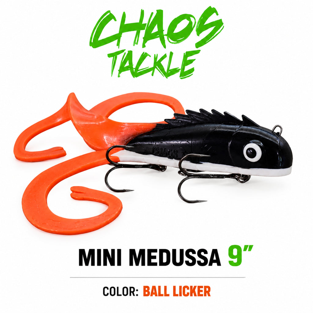 Medussa - MINI (MOST POPULAR)