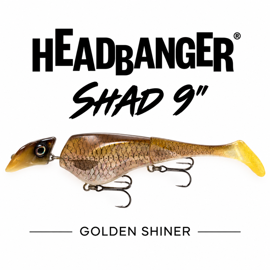 HEADBANGER SHAD Swimbait - 9"