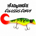 HEADBANGER Colossus Curly -12" (6oz)