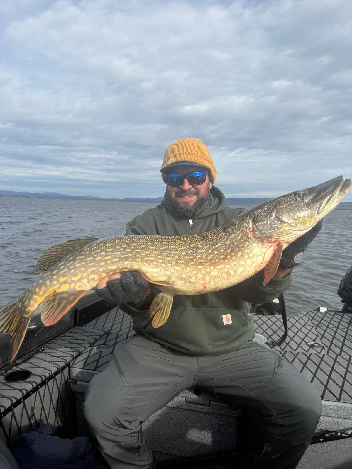 Assault EEL - Shallow -  4.5"