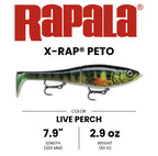 Rapala X-Rap Peto - 8"